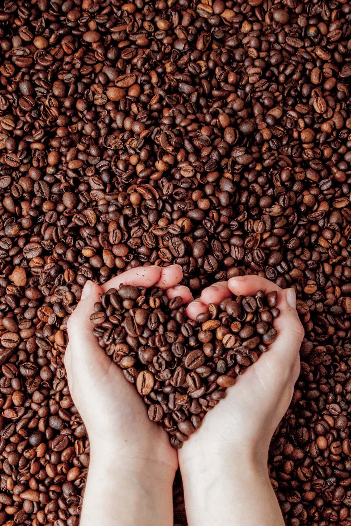 Favoritos Roan Café